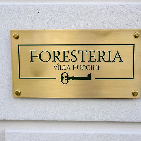 Foresteria Villa Puccini Casa Per Ferie 托雷德尔格拉戈普奇 外观 照片