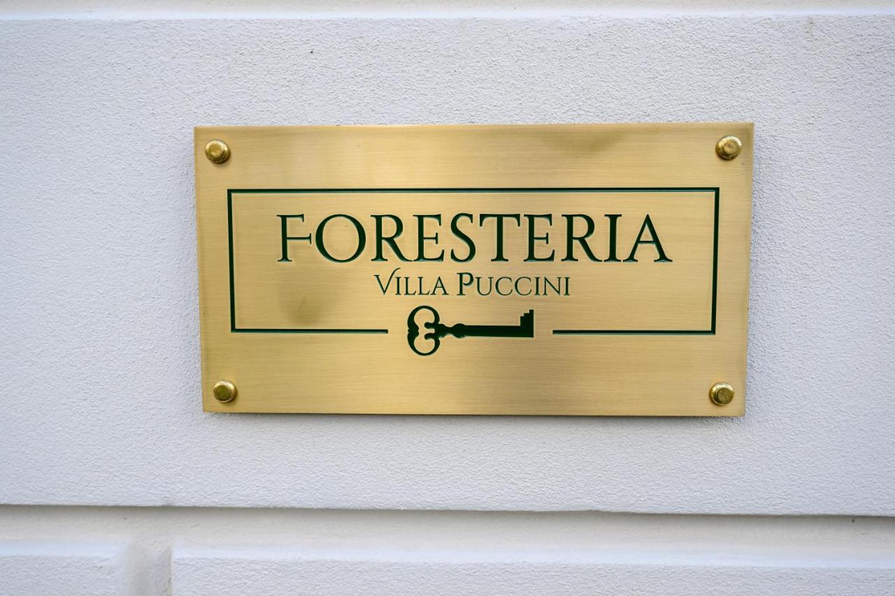 Foresteria Villa Puccini Casa Per Ferie 托雷德尔格拉戈普奇 外观 照片